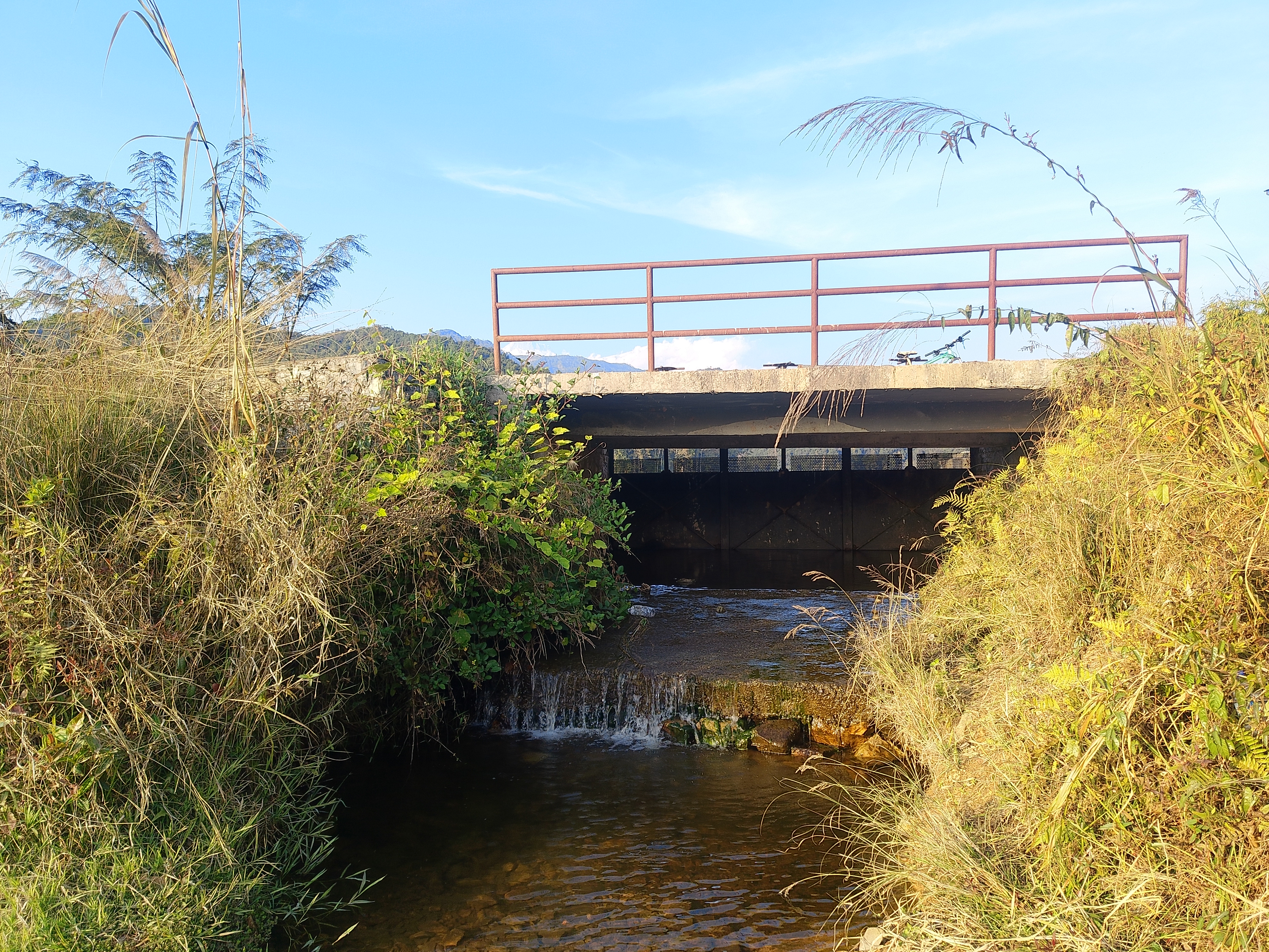 A concrete bridge spans over a small stream, with a low railing along the top. Surrounding the bridge are patches of tall grass and shrubbery, with some greenery creeping towards the water's edge