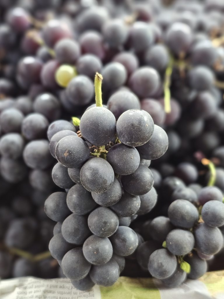 A cluster of deep purple grapes rests gently in Perumanna, Kozhikode, glowing softly with natural light, each berry rich, fresh, and full of sweetness.