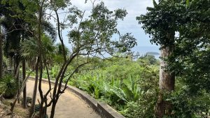 A curved paved path leading through a tropical garden with banana leaves and a view of the ocean in the background.