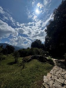 
A scenic outdoor landscape featuring a pathway made of stones winding through lush greenery.