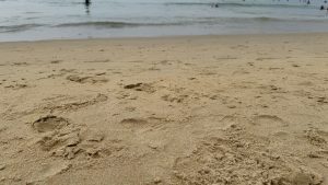 A low-angle perspective across a sandy shoreline with footprints leading toward gentle ocean waves in the distance.