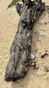 A large, weathered tree trunk lying on a sandy beach surrounded by scattered litter, including glass beer bottles and cardboard.