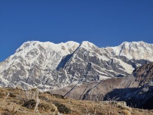 A close-up view of the snow-capped Annapurna mountains under a clear blue sky.