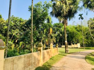 A peaceful rural scene with a dirt path curving beside a low wall, surrounded by tall palm trees and lush green plants. Small buildings sit quietly under the bright blue sky, creating a calm village atmosphere.
