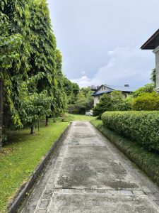 A narrow, concrete pathway lined with lush green trees and shrubs leads toward a house in the distance.
