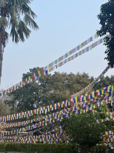 
A vibrant display of colorful prayer flags is strung between trees against a clear blue sky. 