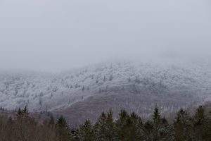 A tree-covered mountainside in the Catskills dusted with snow during a snowstorm.