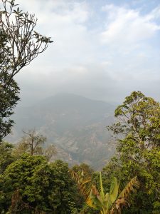 A scenic view from a mountainous area, showcasing a lush green landscape filled with various trees and plants in the foreground.