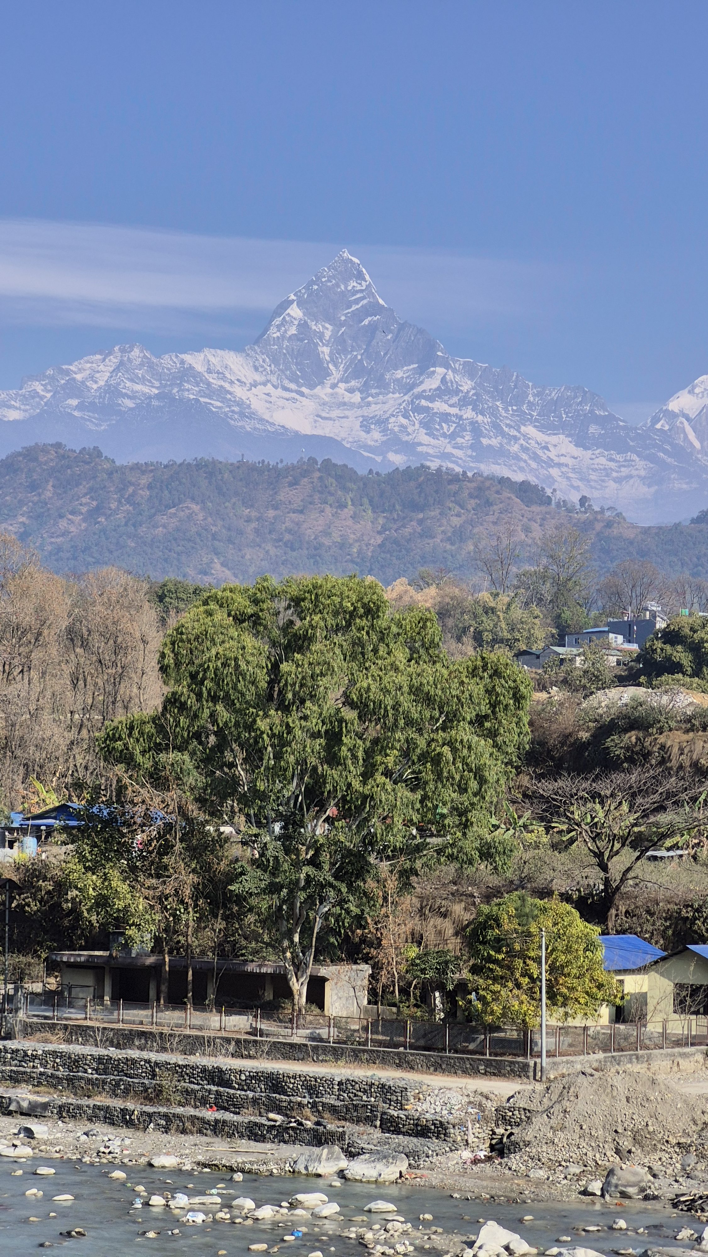 A scenic view of a snow-capped mountain peak rising majestically against a clear blue sky. In the foreground, a lush green tree stands near a riverbed made up of smooth stones.