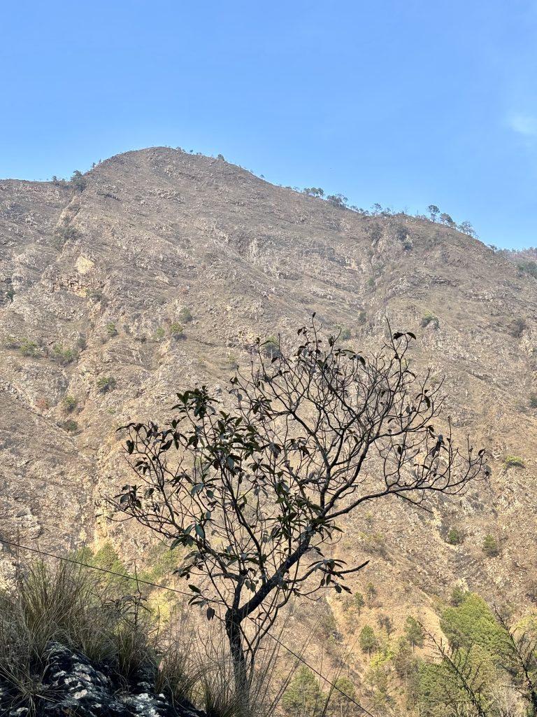 A barren landscape features a prominent, rocky mountain in the background under a clear blue sky