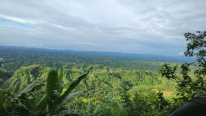 A panoramic view of a lush green landscape, featuring rolling hills covered in dense vegetation under a partly cloudy sky.
