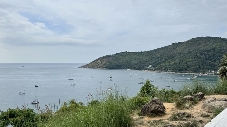 A scenic viewpoint with tall grass and rocks in the foreground, looking out over a wide bay filled with anchored sailboats near a green coastline.
