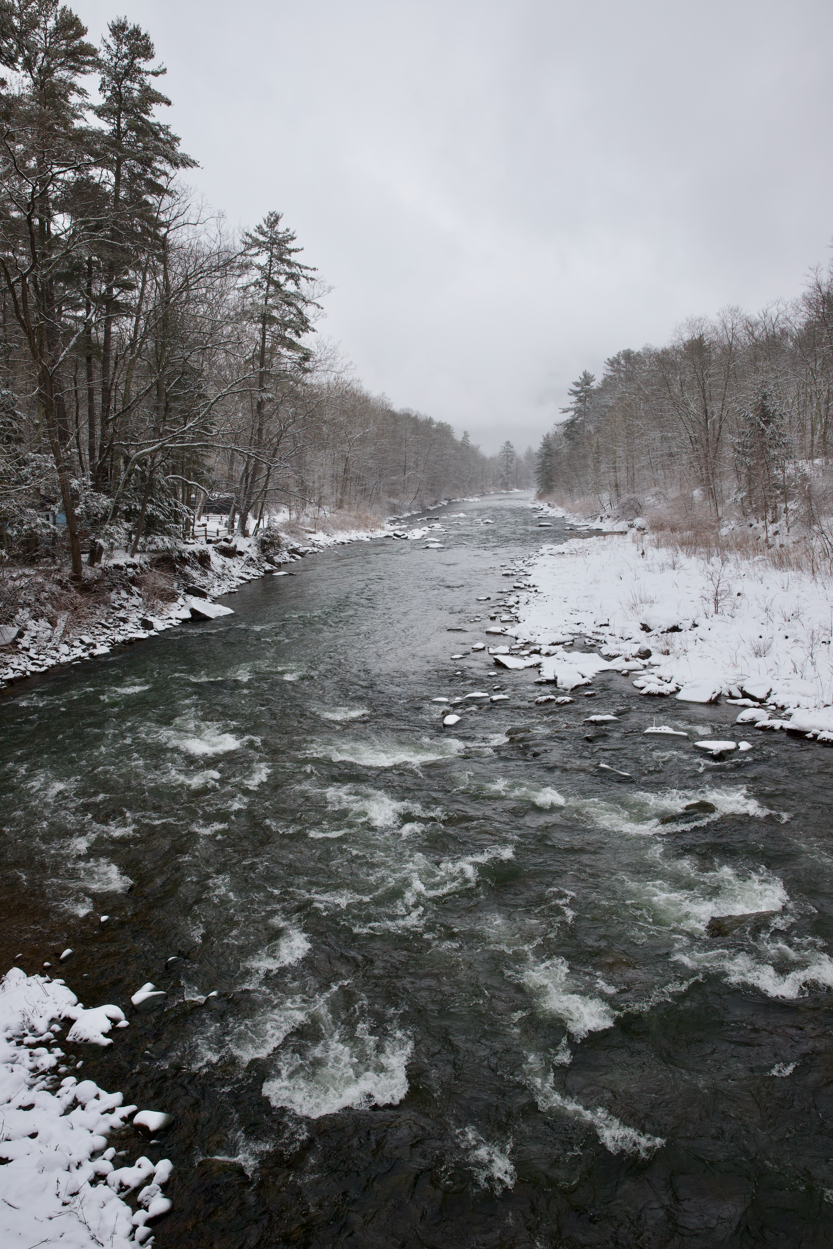 Esopus Creek flows between icy, tree-lined banks covered with snow.