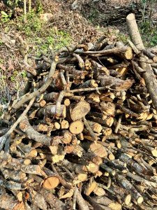 A pile of cut branches and twigs is stacked together, showcasing various sizes of wood pieces.