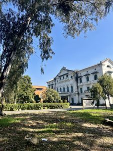 
A view of an old, elegant building with white stucco walls and green windows, partially covered in vines