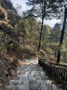A stone pathway leads down through a forested area, surrounded by trees and rocky terrain. The path is flanked by a black metal railing on one side and features uneven stone steps. Lush greenery and shrubs are visible along the sides, with some wildflowers adding color to the scene.