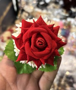  A hand holds a vibrant red rose, showcasing its delicate petals and rich color against a neutral background.