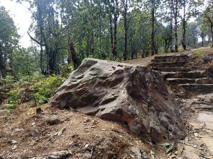 
A large, jagged rock sits prominently on a dirt path amidst a forest. Surrounding the rock are various trees with green foliage and some underbrush.
