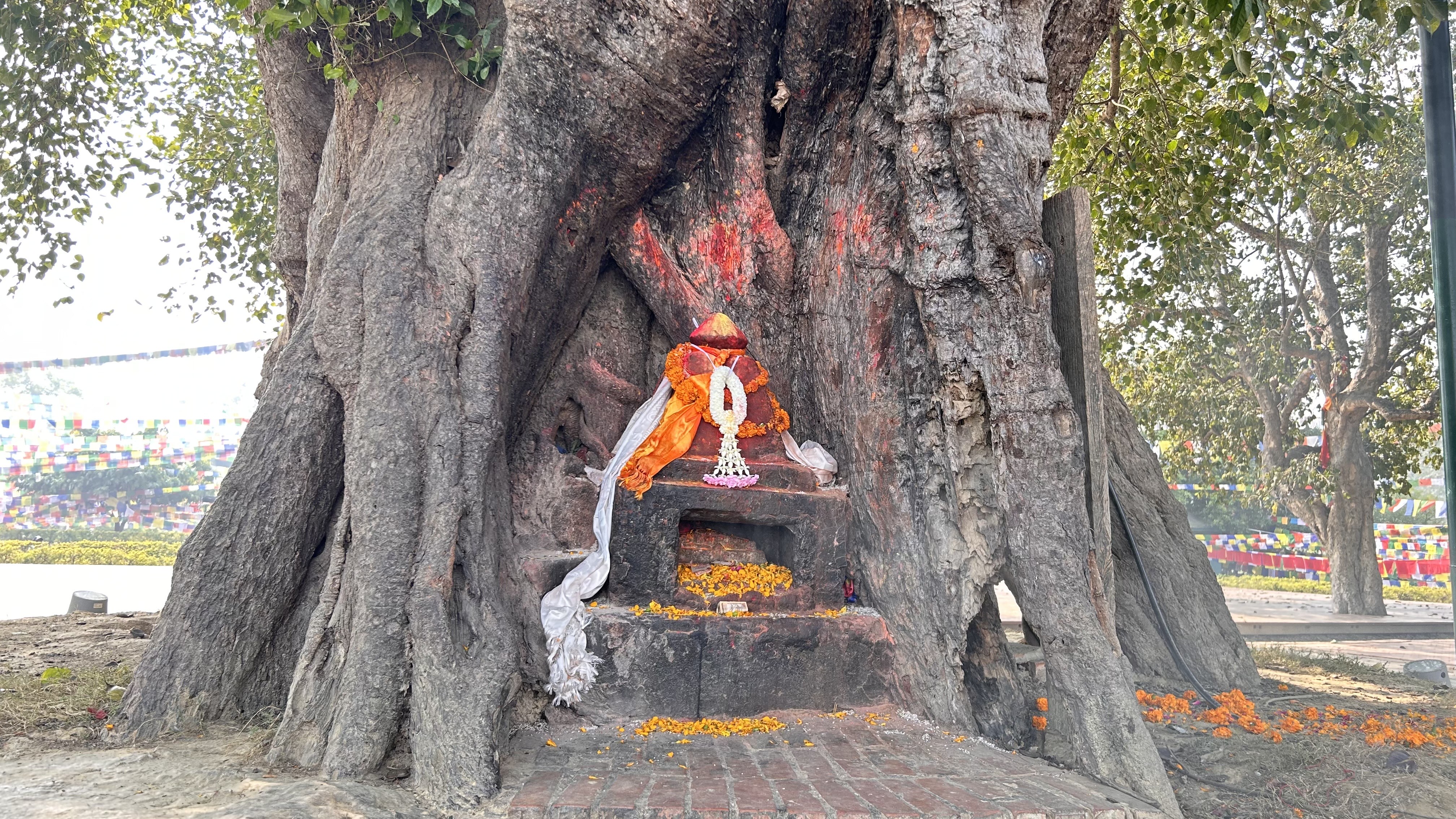 A large hollow tree trunk contains a small altar decorated with orange marigold flowers, a white garland, and a deity figure dressed in orange, surrounded by floral offerings.