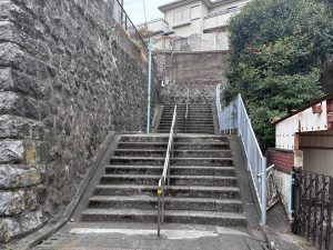 
A set of concrete stairs leads up between two stone walls. The left wall is made of rough, dark stones, while the right side features a white railing and lush greenery.