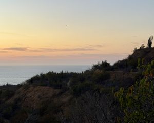 A scenic coast at sunset with a dry hillside covered in cacti, looking over the ocean beneath a soft orange and blue sky.