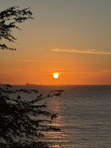 Golden sunset over the ocean with dark tree branches in the foreground