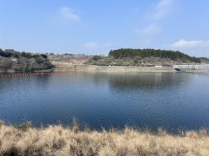 Calm water reflecting the sky, with golden grass and red buoys at Ichizu Lake, Nagara.
