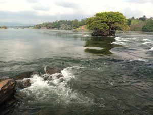 A view of white-water rapids where Lake Victoria meets the Nile in Jinja, flowing over rocks, with a small green island and a lone tree in the center, under a cloudy sky.
