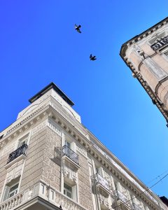 A low-angle view of two classic European buildings with detailed facades and balconies, with birds flying in the bright blue sky between them.