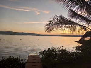 A wide view of the sunset over Lake Victoria in Jinja, with orange and pink skies reflecting on calm water. A concrete jetty and plants sit in the foreground, with palm leaves and distant hills silhouetted against the evening sky.
