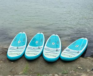 A serene fewa lakeside scene featuring four bright turquoise paddleboards lined up on a sandy shore.

