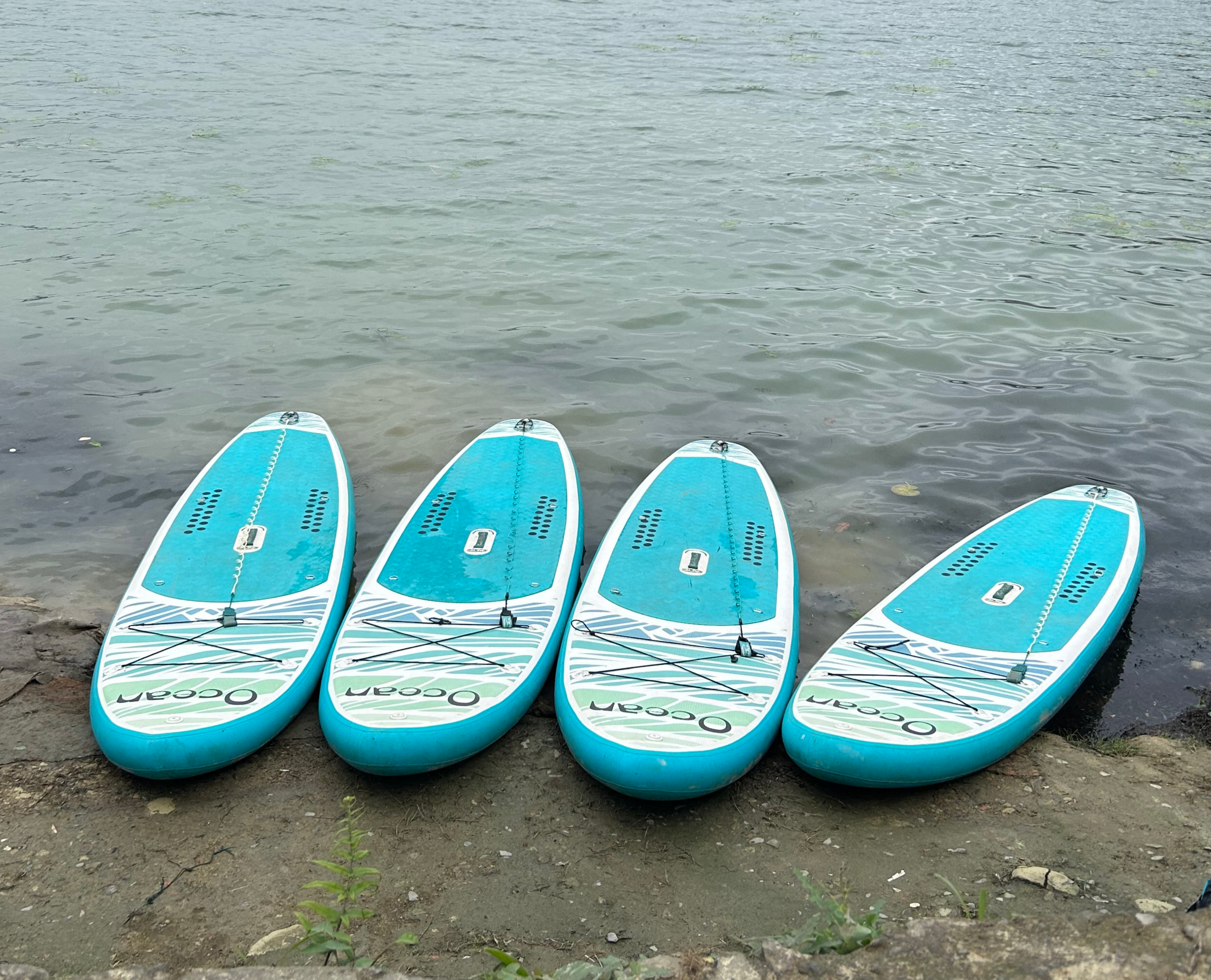 A serene fewa lakeside scene featuring four bright turquoise paddleboards lined up on a sandy shore.