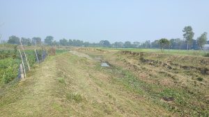 Narrow irrigation canal with green plants and small water pools, beside a rustic fence and grassy field under a hazy sky.
