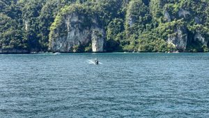 A wide view of a tall limestone cliff rising from the turquoise ocean, with a single boat moving in the foreground.