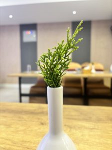 A white vase containing a green plant, set against a neutral background.