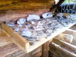 A collection of rocks and crystal geodes in different sizes and colors is displayed on a wooden shelf at Sipi Falls in Eastern Uganda, under a simple wooden structure.
