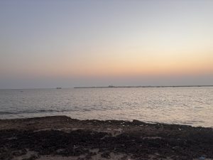 Rocky shore with a calm sea at sunset. Soft orange and pink colors fade into blue, with distant boats and a long breakwater on the horizon.