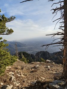A rocky landscape viewed from a mountain overlook, featuring a mixture of sparse trees, exposed soil, and stones.