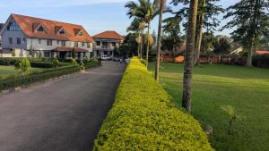 A landscaped pathway bordered by neatly trimmed hedges leads through vibrant green lawns and small decorative plants toward two large buildings with orange roofs one with windows and a visible entrance, the other featuring balconies—while palm trees provide shade, parked cars sit nearby,