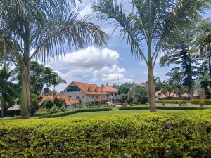 
A landscaped area featuring well-manicured hedges and palm trees in the foreground. In the background, there are residential buildings with red roofs and green foliage surrounding them. 
