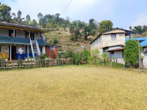 Two stone houses beside a grassy yard, with a wooden fence, plants, and a tree-covered hillside in the background.