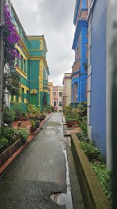 A narrow street lined with colorful houses and potted plants on both sides.