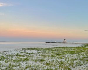 Wide beach at sunset with blue and pink sky, grass in white sand, calm sea, a pier with a boat, and a lifeguard tower in the distance.