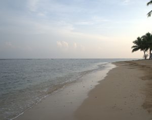 A calm beach with soft waves, pale sand, and a few palm trees under a lightly clouded sky.
