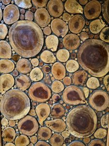 A creative pattern of wooden log slices arranged together, showing rings and textures. A beautiful natural design captured in Kozhikode, Kerala. 