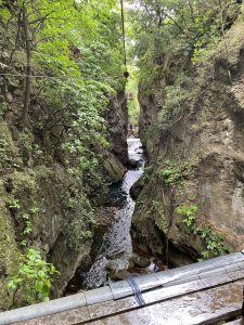 
A narrow canyon with steep rock walls covered in greenery, featuring a flowing water stream at the bottom.