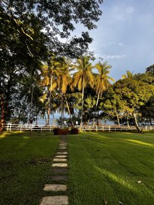 A calm outdoor scene with a neat lawn and stone path leading to a white fence in Costa Rica.