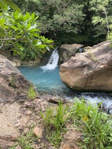 A serene natural pool with vibrant blue water fed by two small cascading waterfalls, surrounded by rocky terrain, tall grass, and dense green vegetation, creating a peaceful outdoor setting.