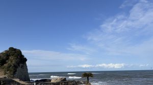 
A scenic coastal view featuring a rocky shoreline with a palm tree on the right side.