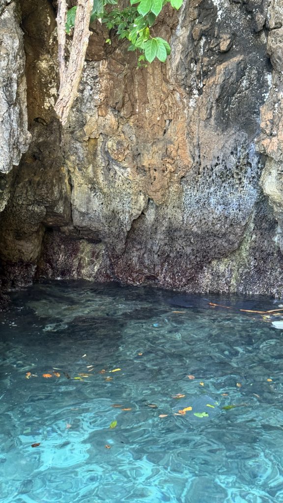 Clear turquoise water at the base of a rocky cliff with overhanging leaves and small floating debris.